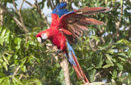 Click - Placeres para los Observadores de Aves (Guiado) Vacation Package