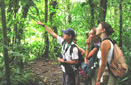 Click - Corcovado Naturwanderung Vacation Package